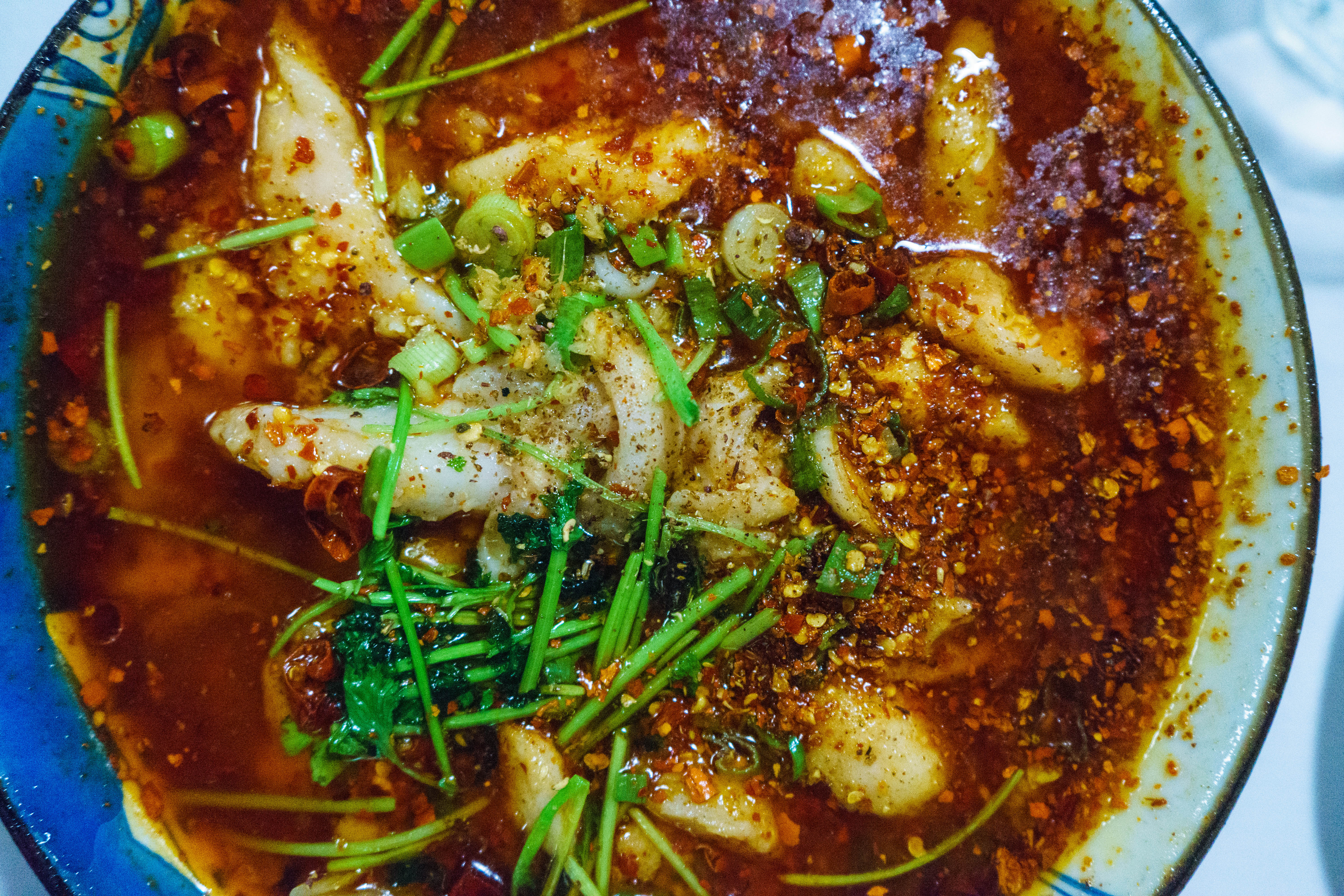 Impressione Chongqing zuppa di pesce