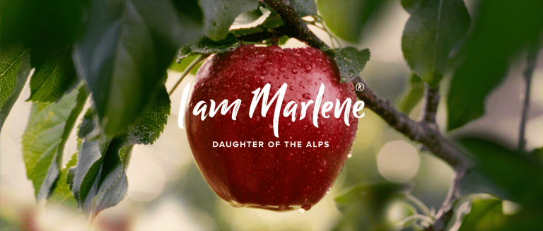 Marlene_Spot_EN