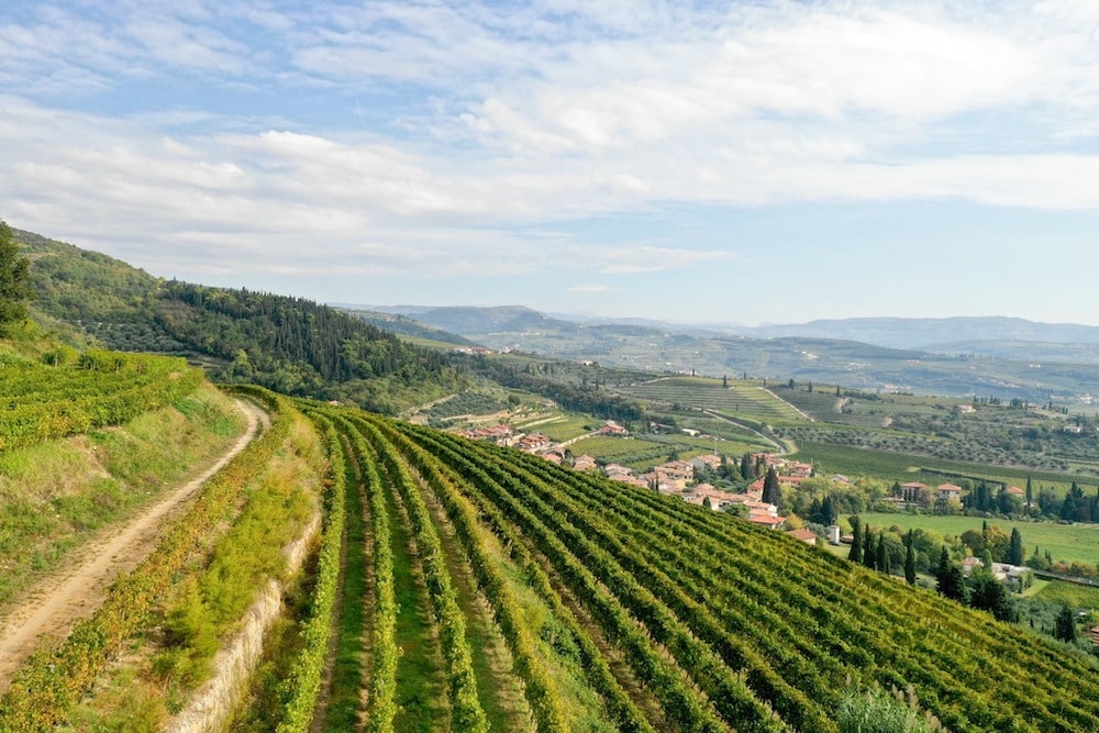 tommasi-viticoltori_valpolicella (1)