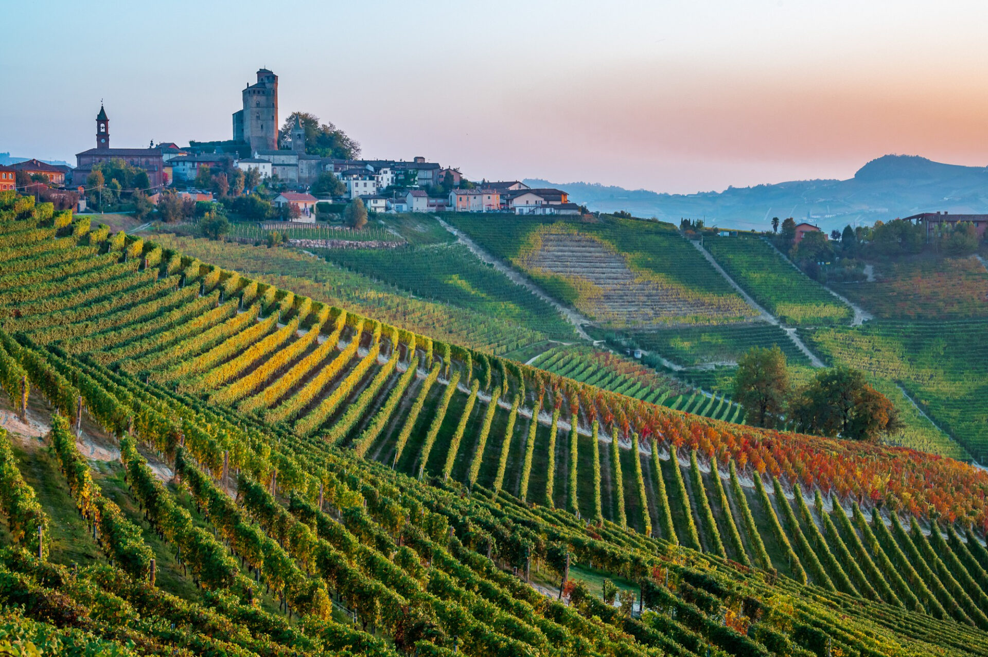 panorama-langhe-1920x0-c-default